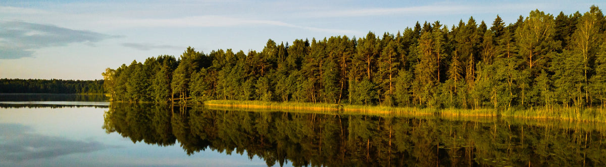 Gewichte aus Tungsten » bei HechtundBarsch.de