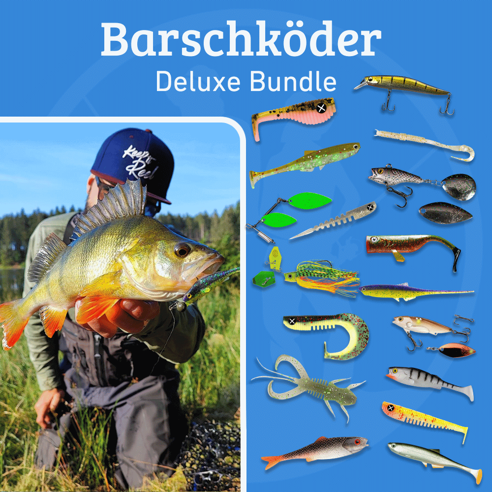 Barschkoder Bundle Deluxe