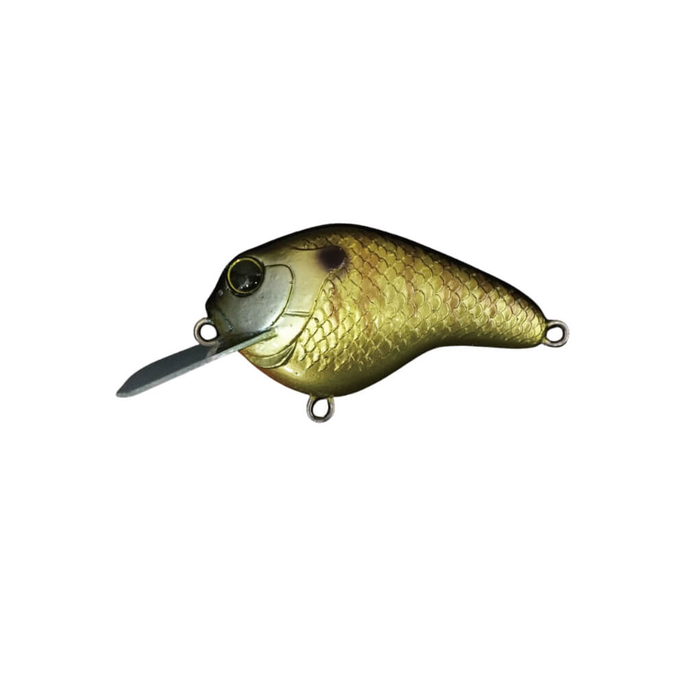 Dranckrazy Gillbokkuri Gold Gill