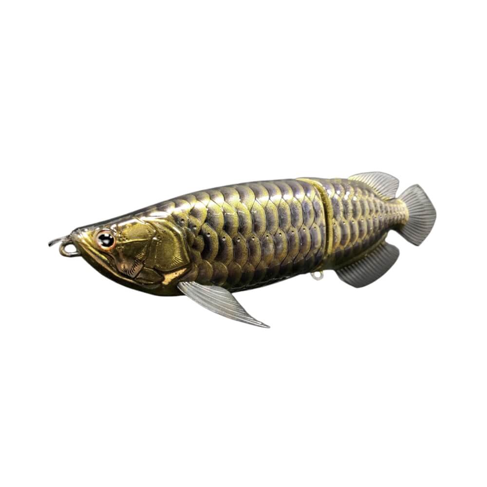 Druckrazy Sumeragi Arowana Black Arowana