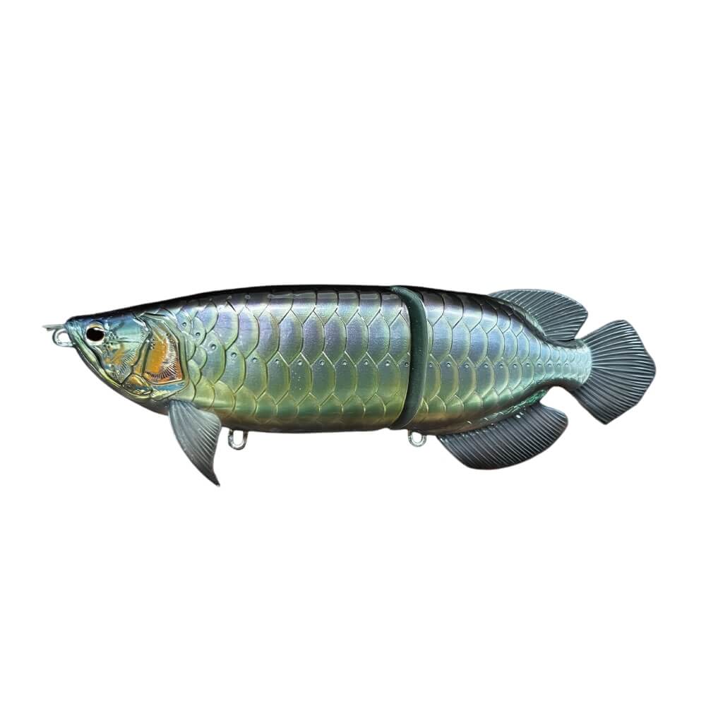 Druckrazy Sumeragi Arowana GR-001