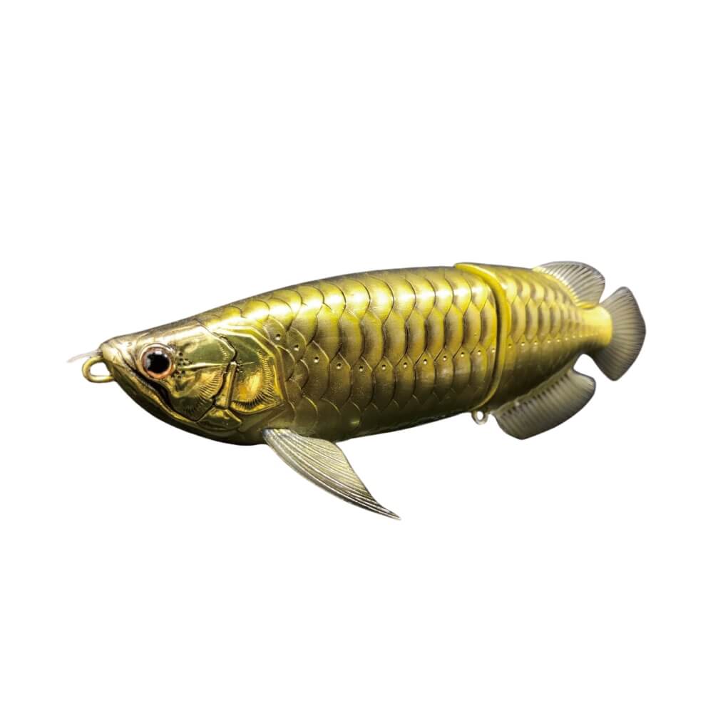 Druckrazy Sumeragi Arowana Golden Arowana