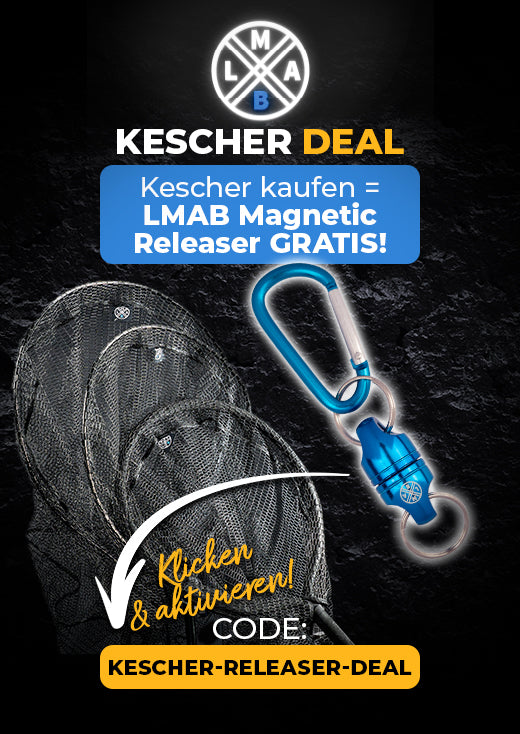 H_B_Deals_Promotion_Block-Kescher-Deal