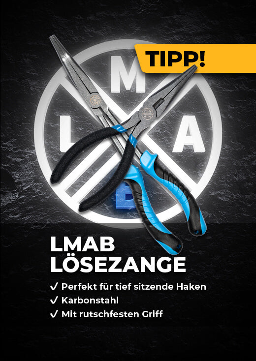 LMAB Losezange Promotion