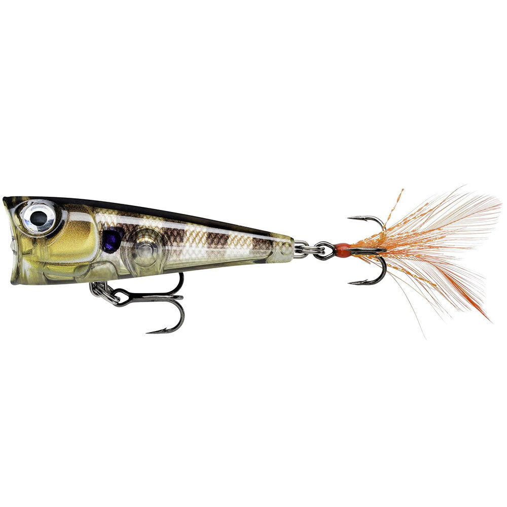 Rapala-X-Light-Pop-Glassy-Gill