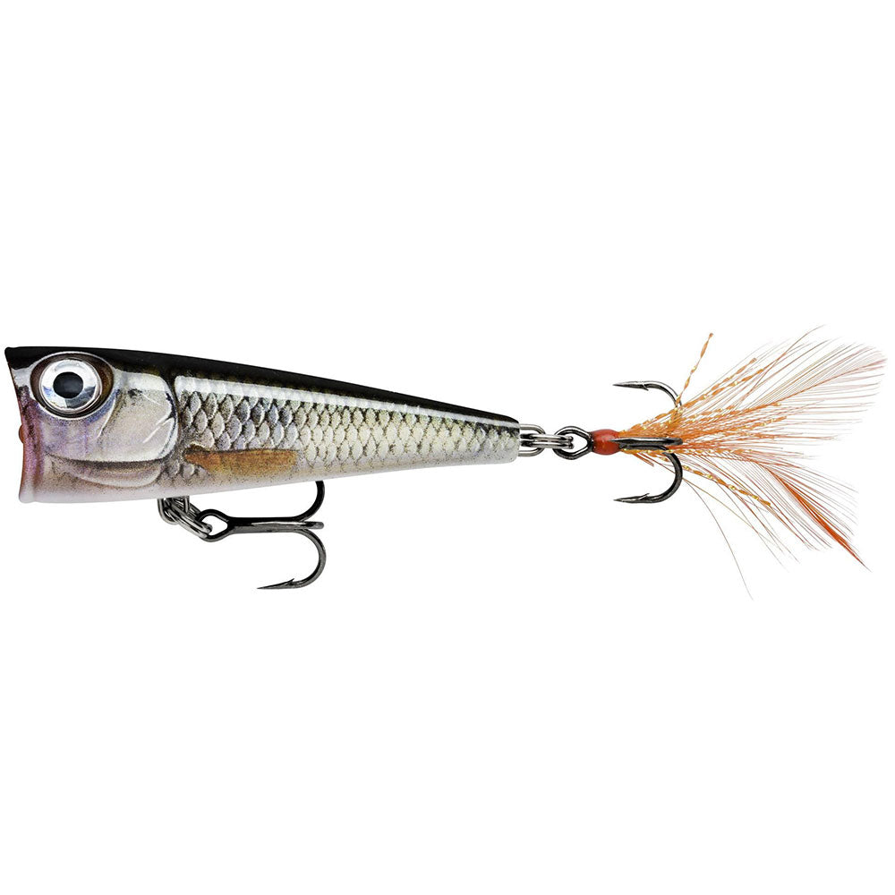 Rapala-X-Light-Pop-Live-Roach