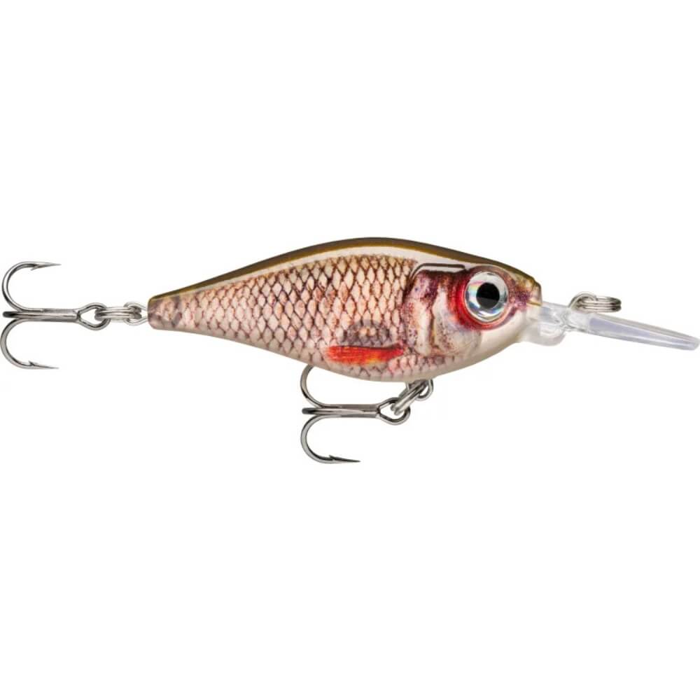 Rapala X-Light Shad Live Roach