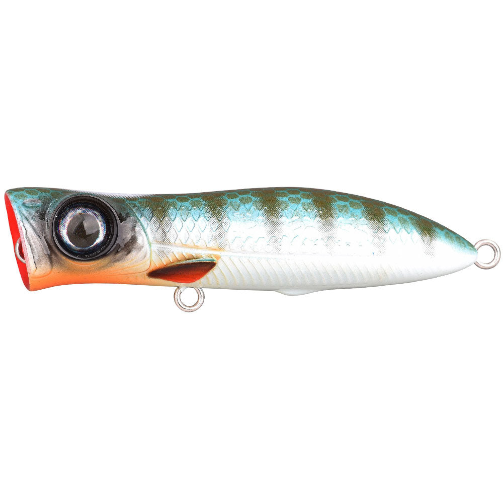 SPRO-Iris-Pop-55-Herring