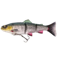 Bewertung von Natascha für das Produkt 4D Line Thru Trout MS 25 cm | 193 g Green Silver