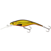 Bewertung von Milan R für das Produkt P10 DR Crankbait 10 cm | 16 g | Floating Gold Rush