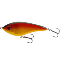 Bewertung von Sebastian für das Produkt Swim Glidebait 12 cm | 53 g | Suspending Parrot Special