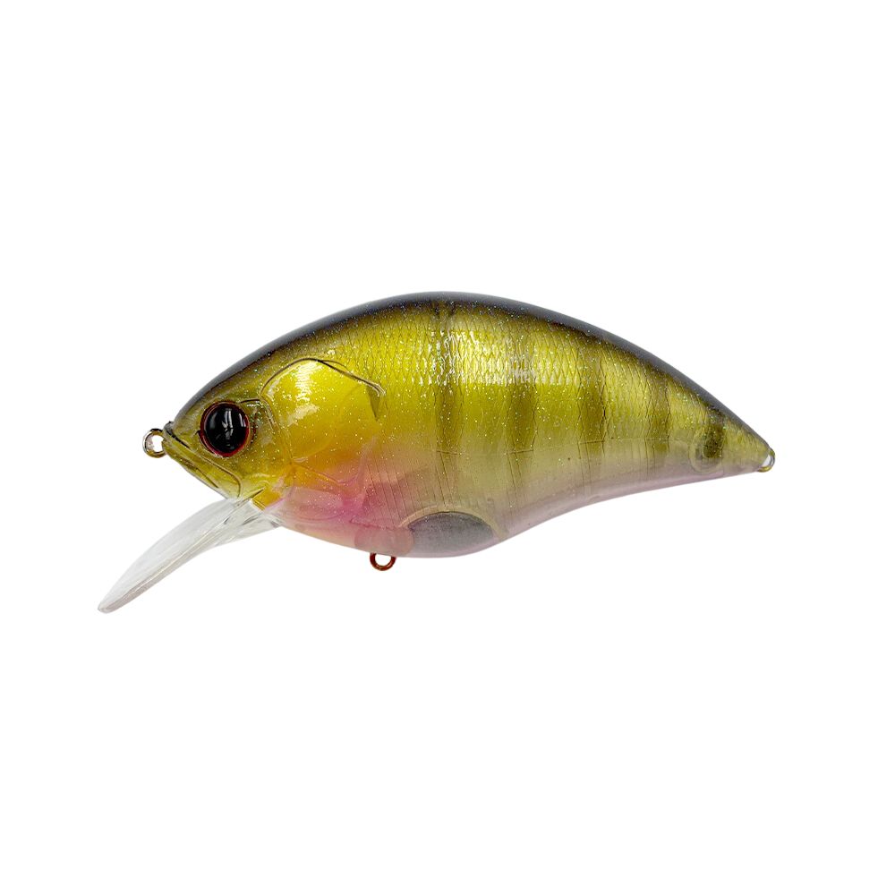 ISM Meteoros Ghost Gill