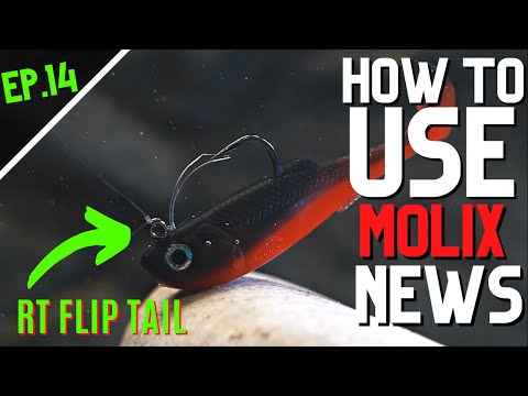 How to use - Molix News - RT Flip Tail - Video