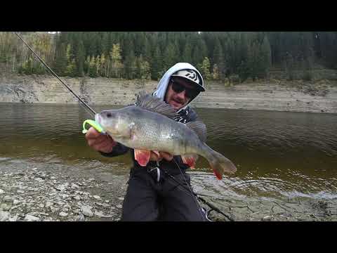 Daiwa Tournament D'Fin Barschangeln Video