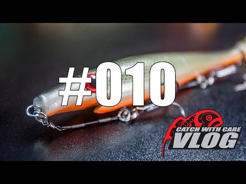 CWC Pig Shad - CWC Vlog #010 - Video